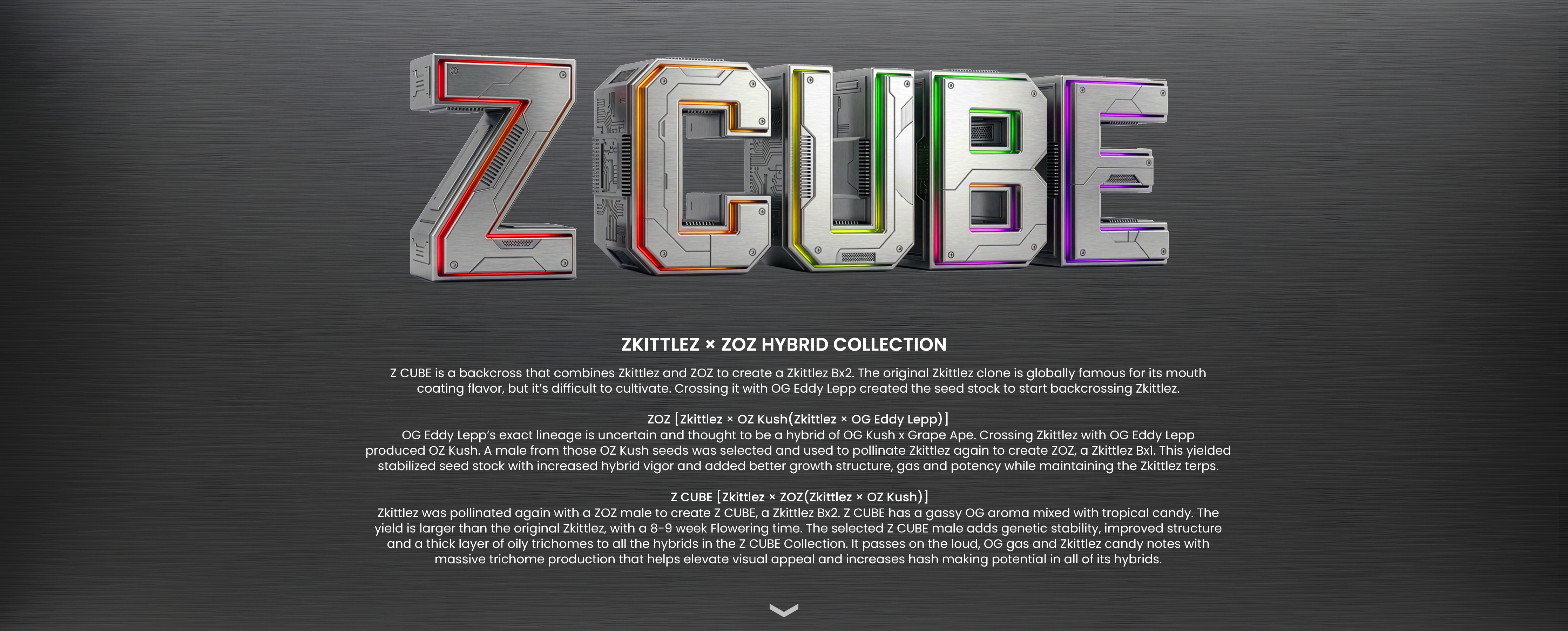 Z CUBE HYBRID COLLECTION